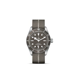 TUDOR Black Bay 58 925 M79010SG-0002