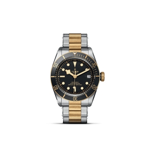TUDOR Black Bay S&G M79733N-0008
