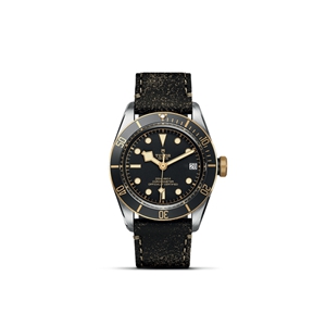 TUDOR Black Bay S&G M79733N-0007