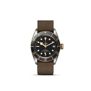 TUDOR Black Bay S&G M79733N-0005