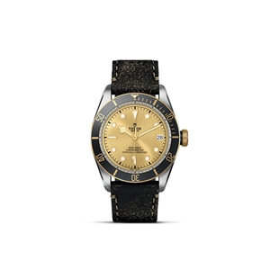 TUDOR Black Bay S&G M79733N-0003