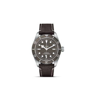 TUDOR Black Bay 58 925 M79010SG-0001