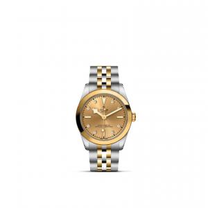 TUDOR Black Bay 31 S&G M79603-0008