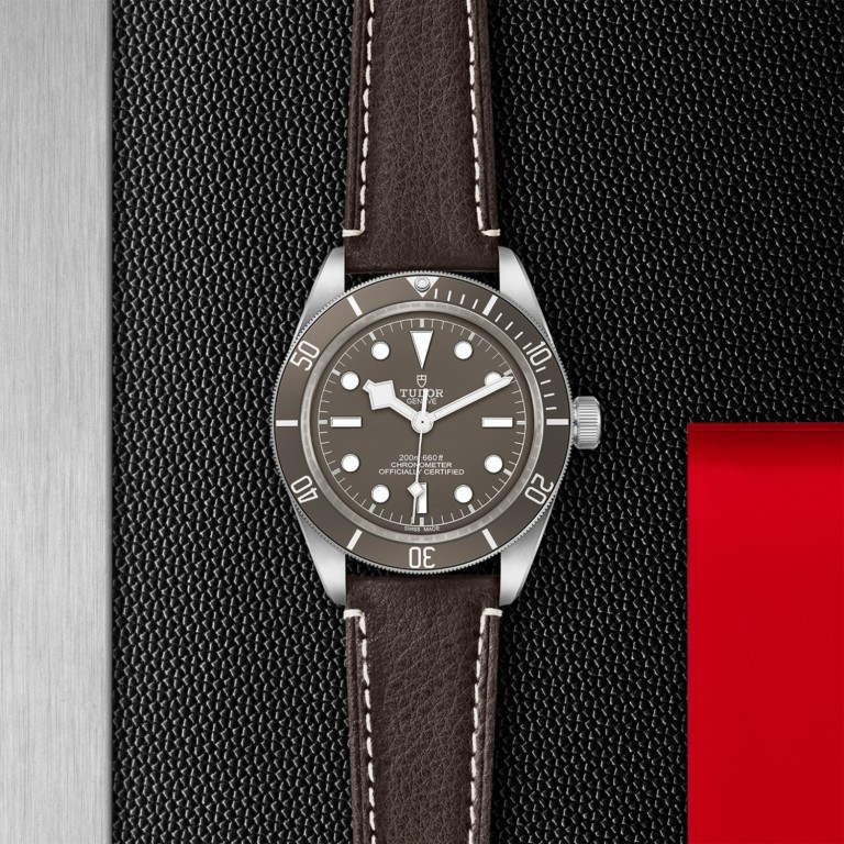 Black Bay 58 925 M79010SG-0001