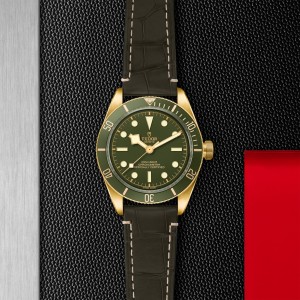 Black Bay 58 18K M79018V-0001
