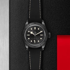 Black Bay Ceramic M79210CNU-0001