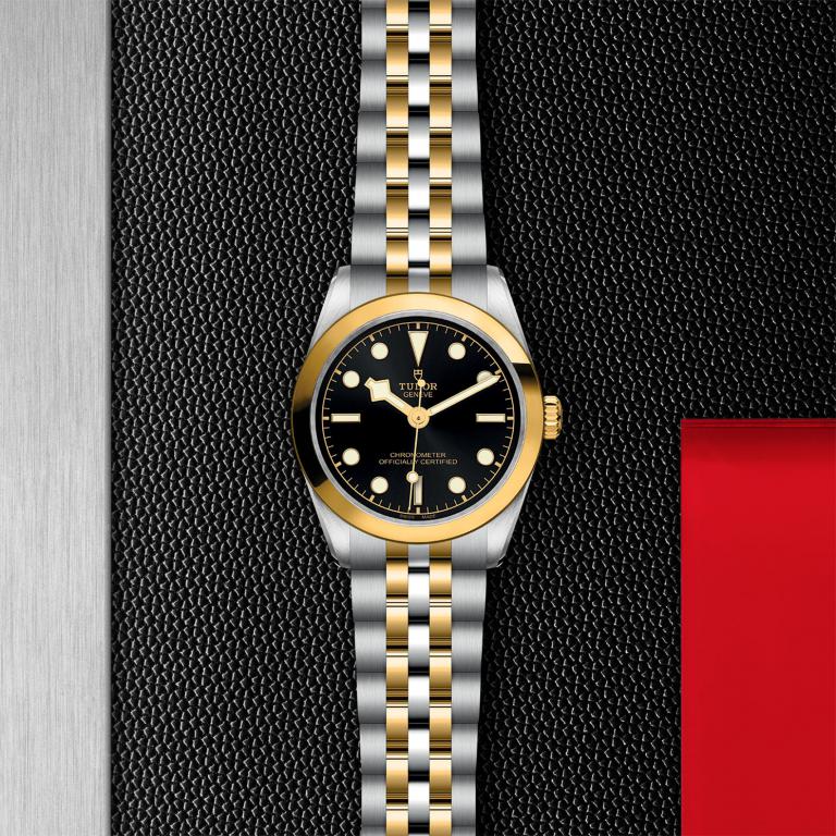 TUDOR Black Bay 31 S&G M79603-0001