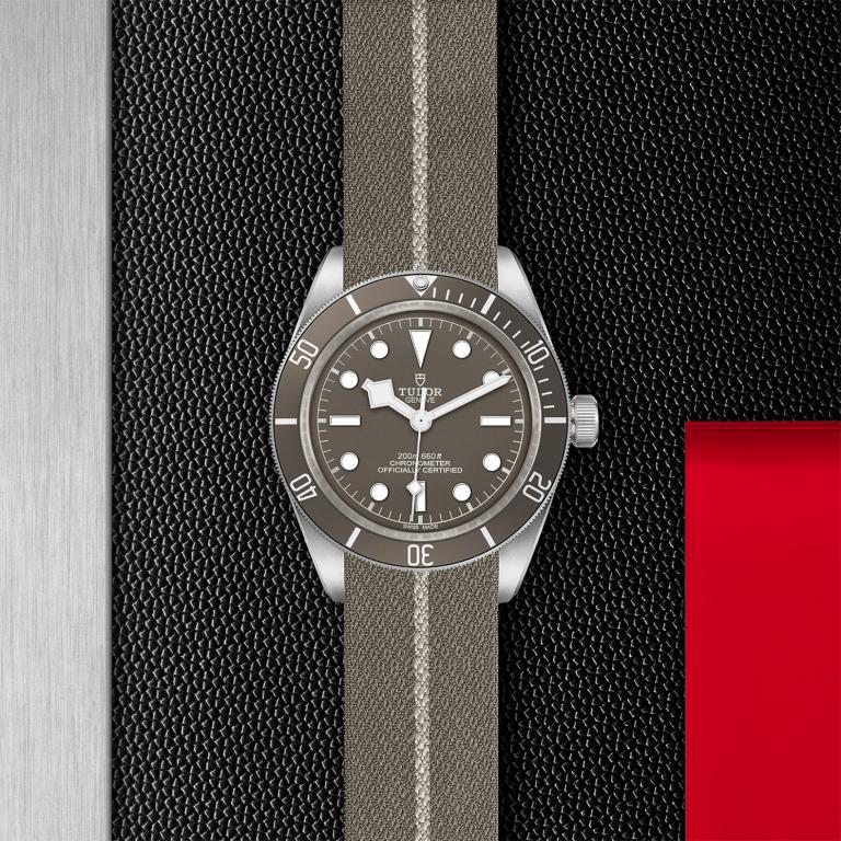 TUDOR Black Bay 58 925 M79010SG-0002