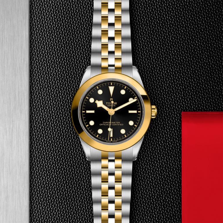 TUDOR Black Bay 39 S&G M79663-0001