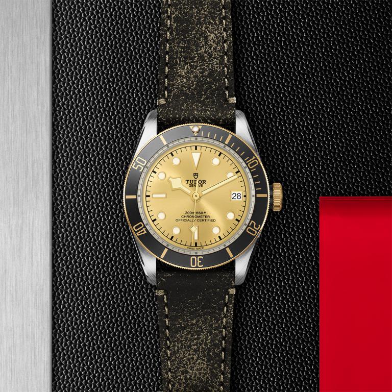 TUDOR Black Bay S&G M79733N-0003