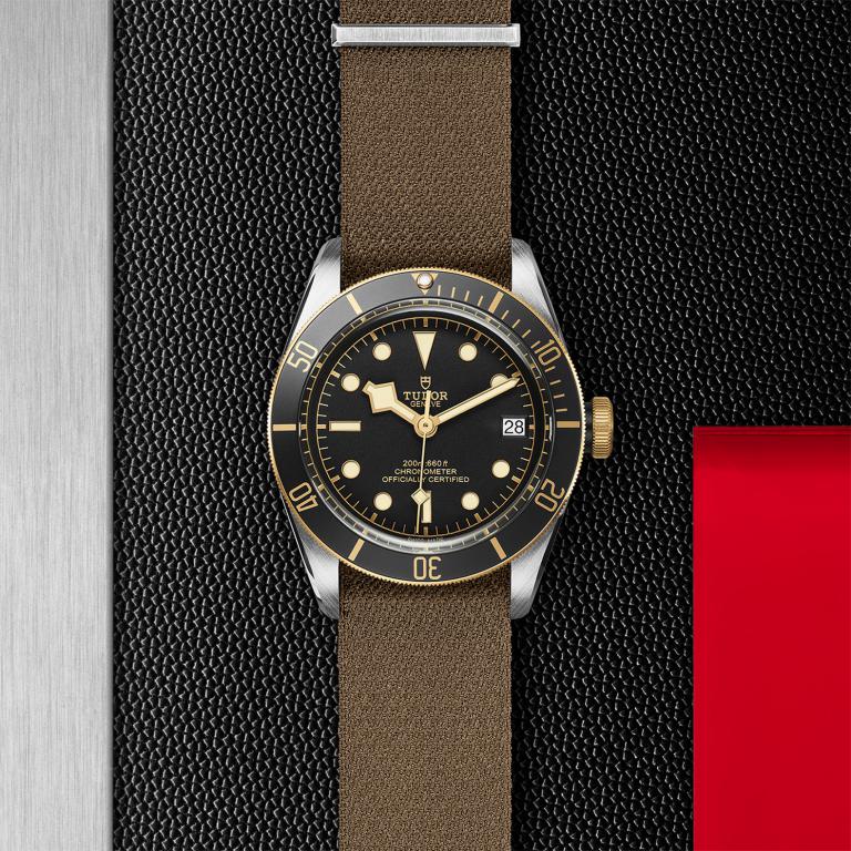 TUDOR Black Bay S&G M79733N-0005