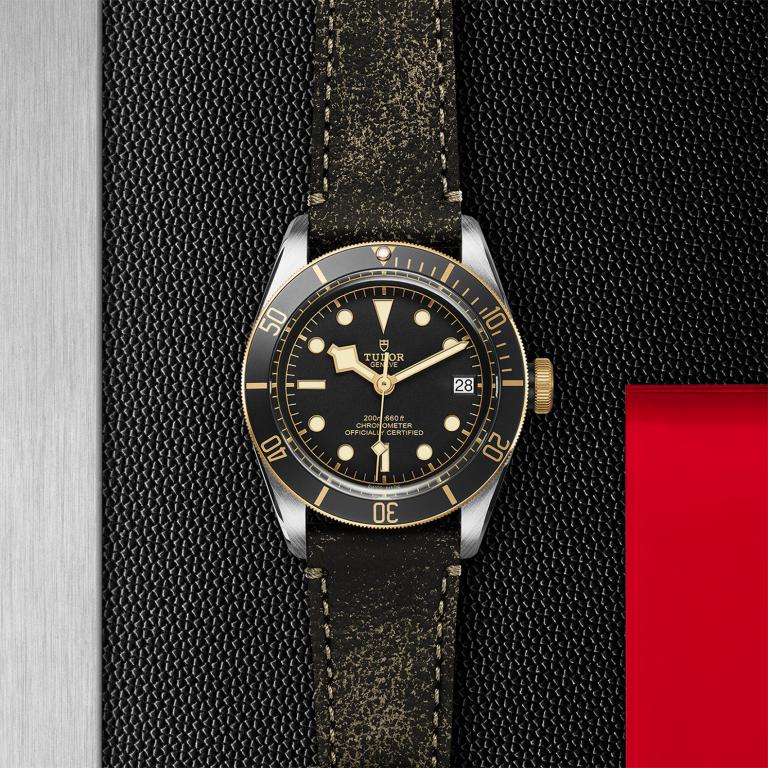 TUDOR Black Bay S&G M79733N-0007