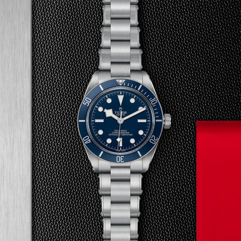 TUDOR Black Bay 58 M79030B-0001