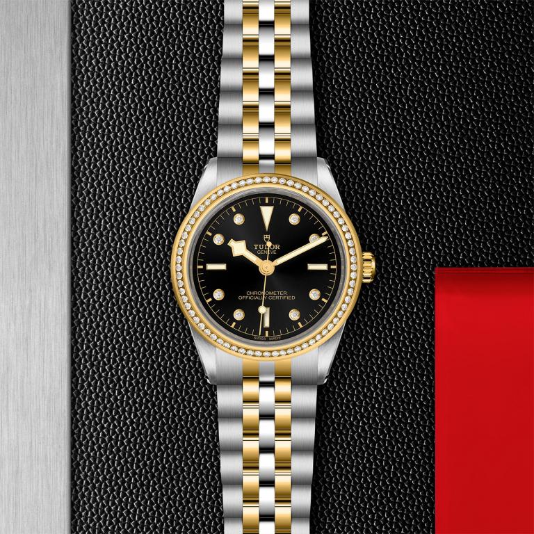 TUDOR Black Bay 39 S&G M79673-0005