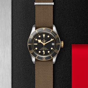 TUDOR Black Bay S&G M79733N-0005