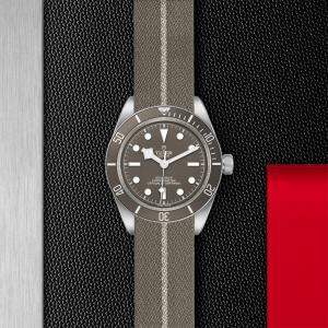TUDOR Black Bay 58 925 M79010SG-0002