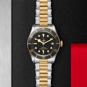 TUDOR Black Bay S&G M79733N-0008