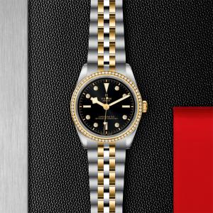TUDOR Black Bay 36 S&G M79653-0005