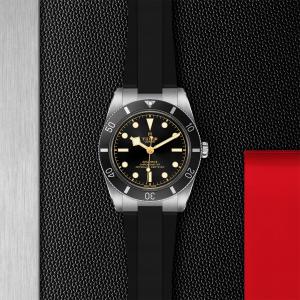 TUDOR Black Bay 54 M79000N-0002