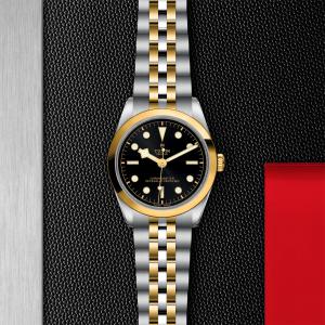 TUDOR Black Bay 36 S&G M79643-0001