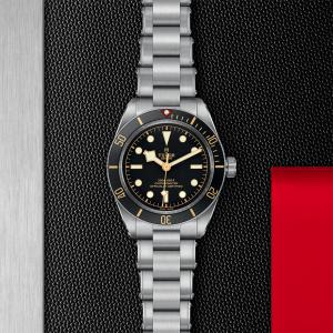TUDOR Black Bay 58 M79030N-0001