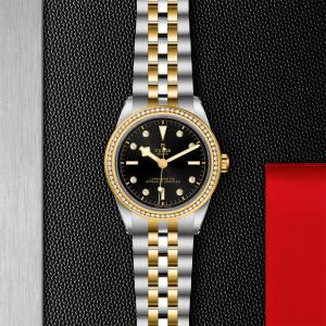TUDOR Black Bay 39 S&G M79673-0005