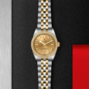 TUDOR Black Bay 31 S&G M79613-0007