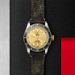 TUDOR Black Bay S&G M79733N-0003