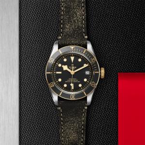 TUDOR Black Bay S&G M79733N-0007