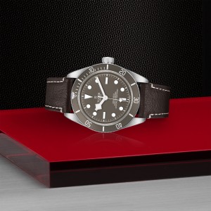 Black Bay 58 925 M79010SG-0001