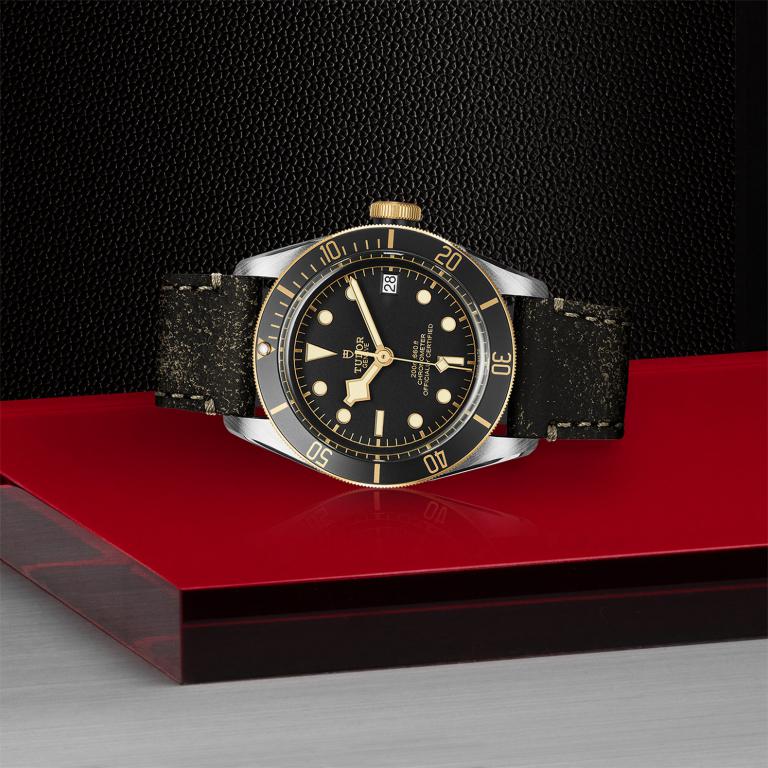 TUDOR Black Bay S&G M79733N-0007