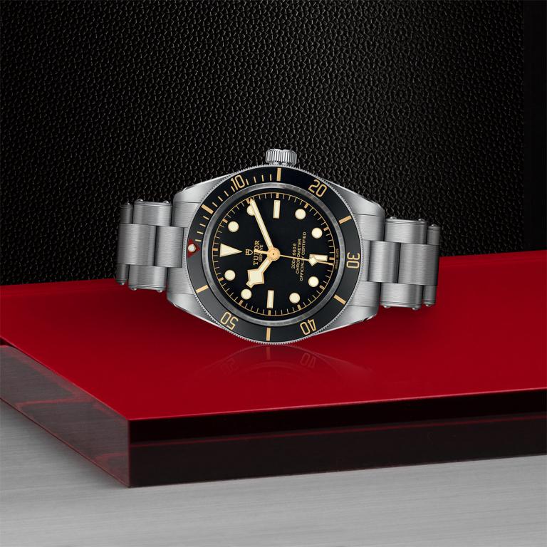 TUDOR Black Bay 58 M79030N-0001