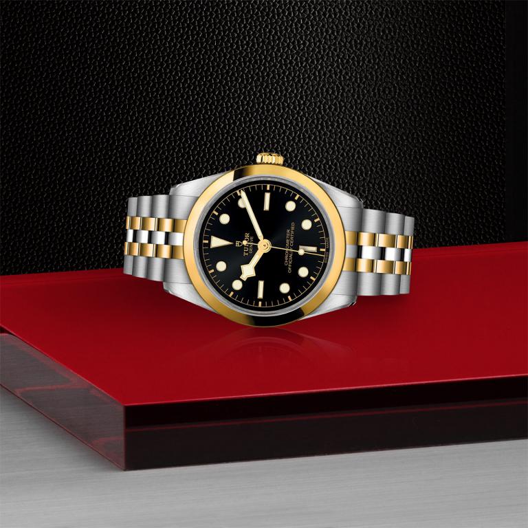 TUDOR Black Bay 36 S&G M79643-0001