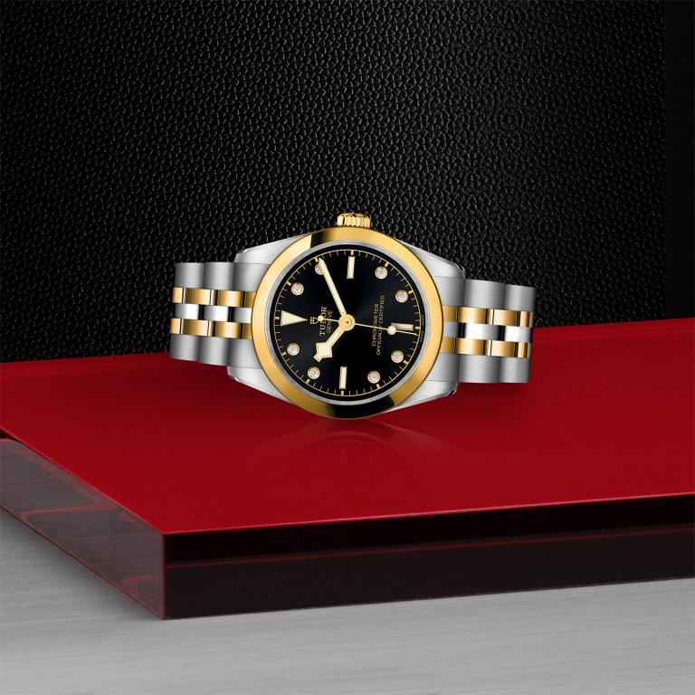 TUDOR Black Bay 31 S&G M79603-0006