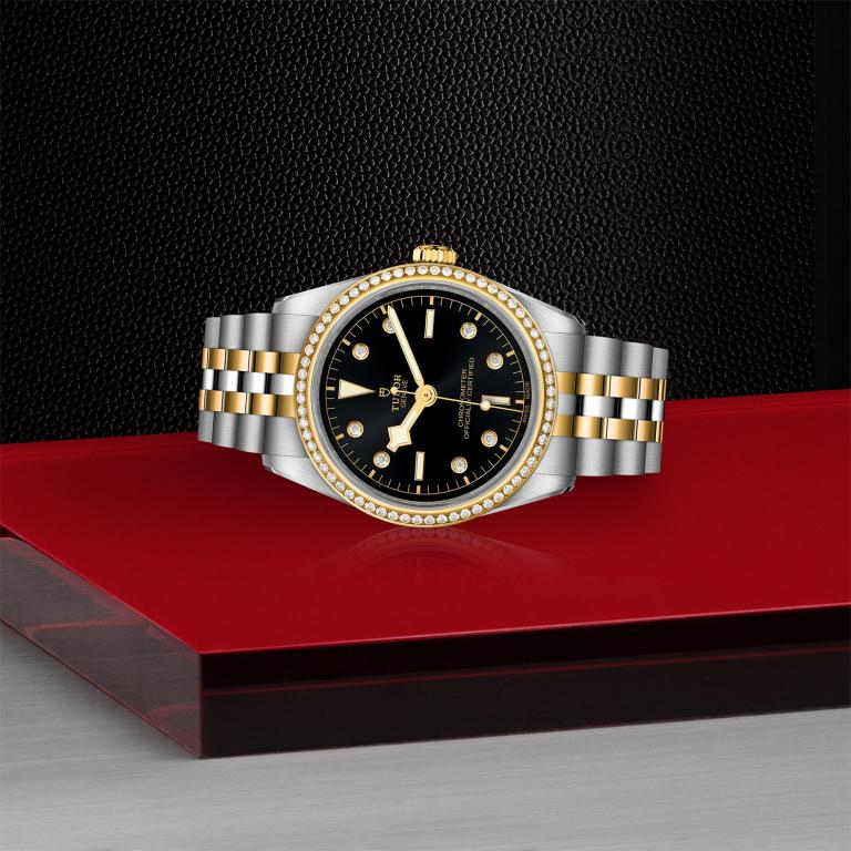 TUDOR Black Bay 36 S&G M79653-0005