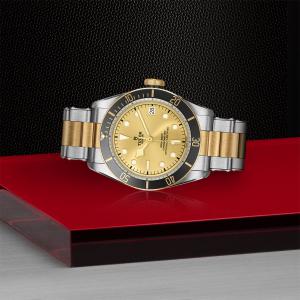 TUDOR Black Bay S&G M79733N-0004