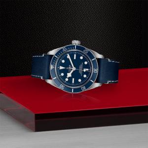TUDOR Black Bay 58 M79030B-0002
