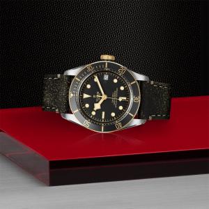 TUDOR Black Bay S&G M79733N-0007