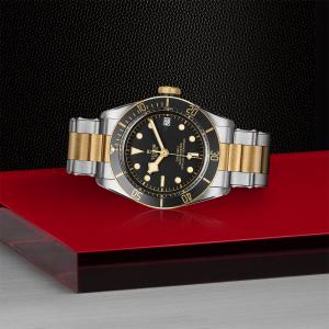TUDOR Black Bay S&G M79733N-0008