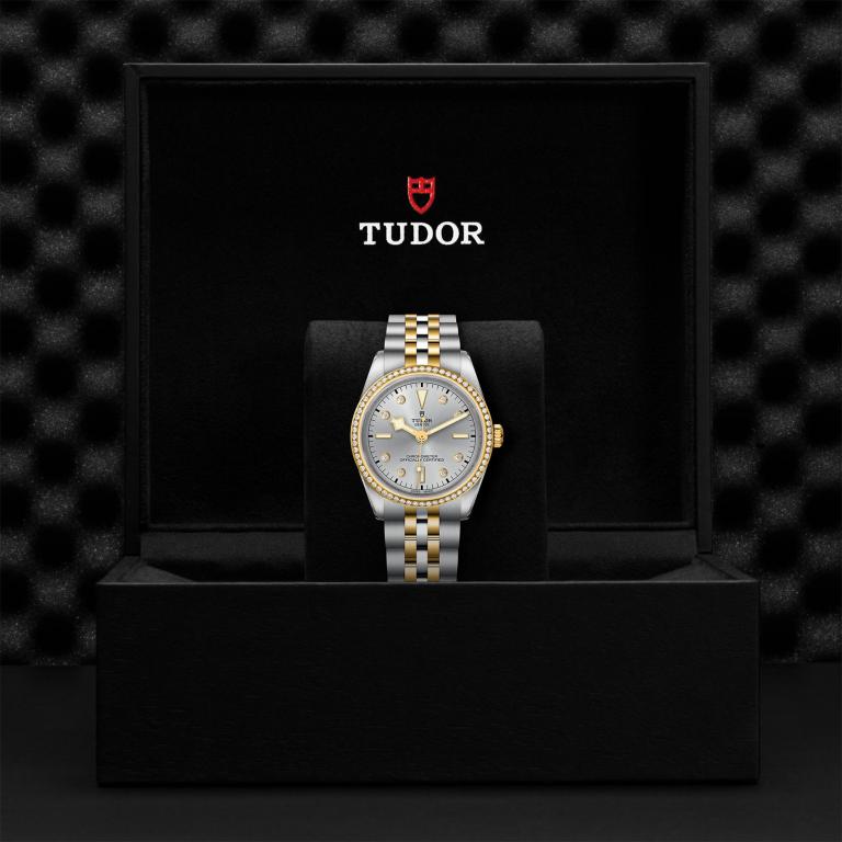TUDOR Black Bay 36 S&G M79653-0006