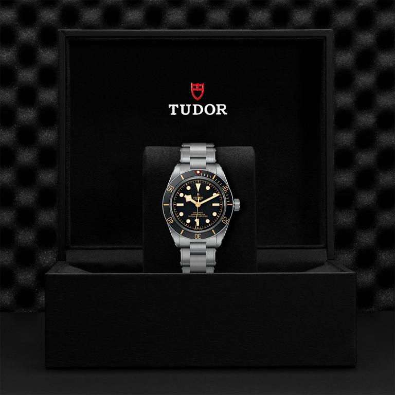 TUDOR Black Bay 58 M79030N-0001