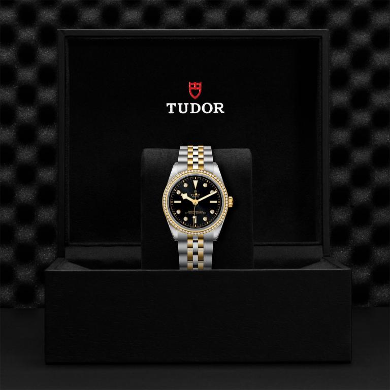 TUDOR Black Bay 36 S&G M79653-0005