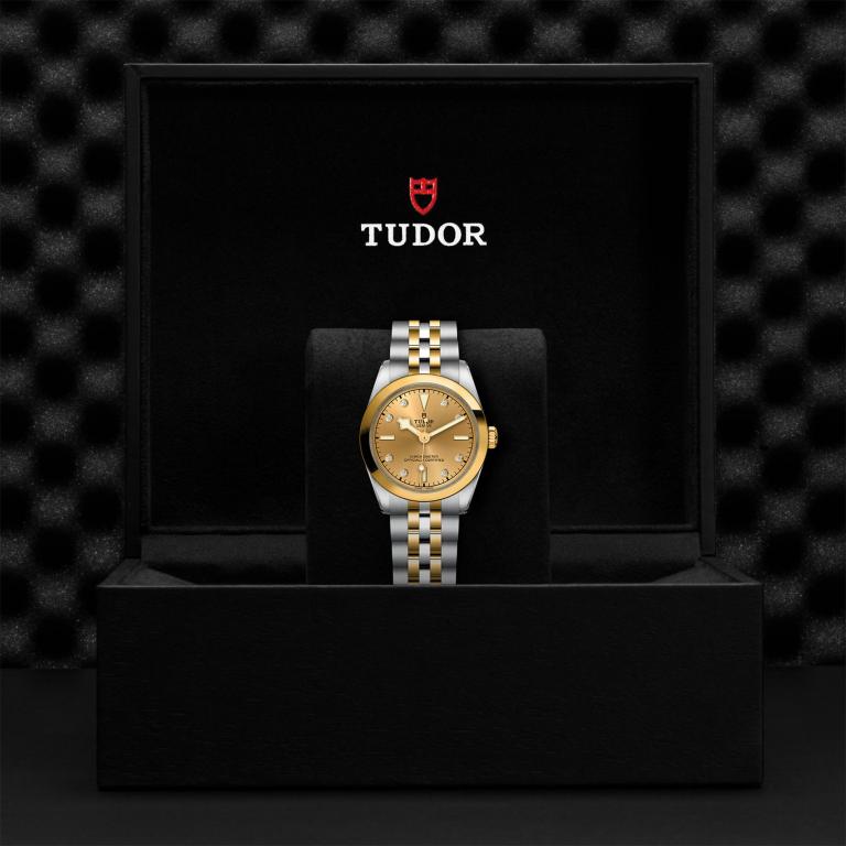 TUDOR Black Bay 31 S&G M79603-0008