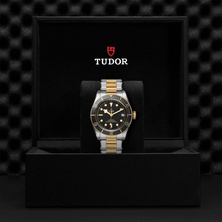 TUDOR Black Bay S&G M79733N-0008
