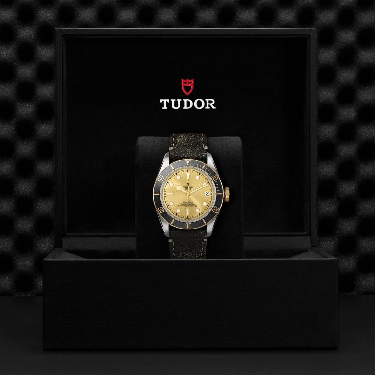 TUDOR Black Bay S&G M79733N-0003