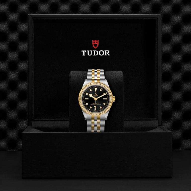 TUDOR Black Bay 39 S&G M79673-0005