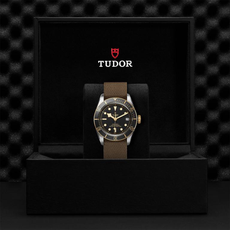 TUDOR Black Bay S&G M79733N-0005