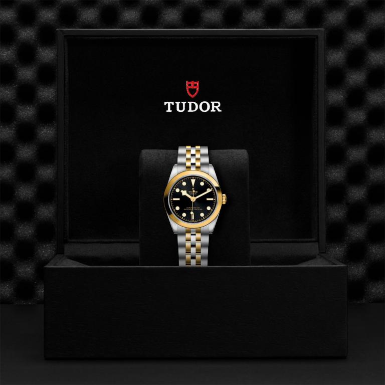 TUDOR Black Bay 31 S&G M79603-0001