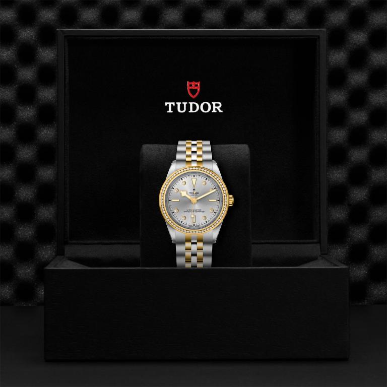 TUDOR Black Bay 39 S&G M79673-0006