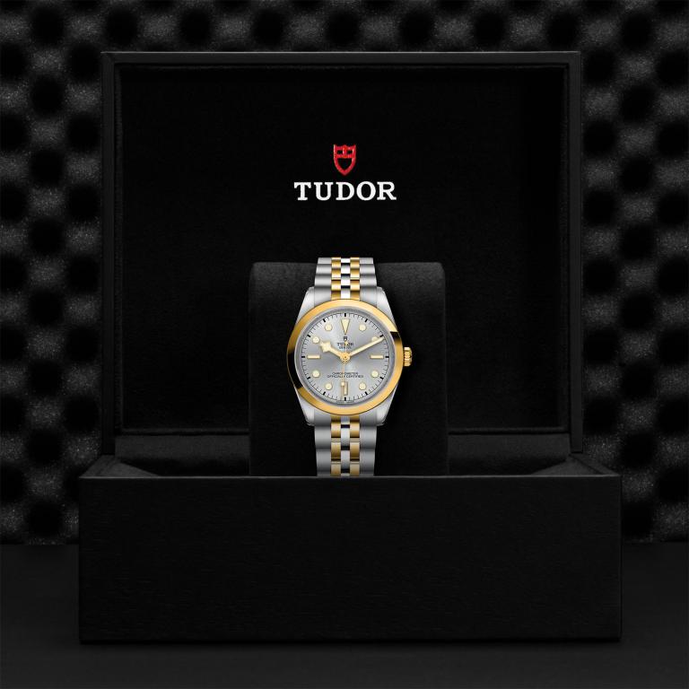 TUDOR Black Bay 36 S&G M79643-0002
